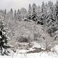 Зимние зарисовки. :: Маргарита ( Марта ) Дрожжина