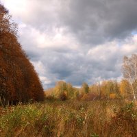 Осенний денек :: владимир тимошенко 