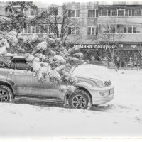 Результат ночного снегопада :: Людмила Фил