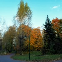 Сбережём тепло прошедшей осени в фотографиях и в душе. :: Татьяна Помогалова