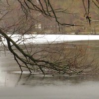 Вмёрзло в лёд :: Андрей Снегерёв