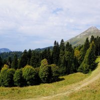 Дорога в гору :: Наталия Григорьева