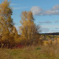 Осенний ветер. :: nadyasilyuk Вознюк