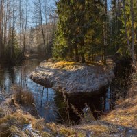 Первые заморозки :: Фёдор. Лашков