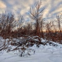 Холодный рассвет! :: Елена Хайдукова  ( Elena Fly )