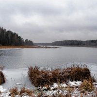 Шёл пятый день зимы. :: Милешкин Владимир Алексеевич 