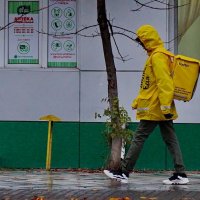 Доставка в любую погоду... :: Николай Саржанов