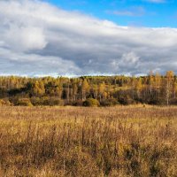 Это было недавно, это было давно. :: Милешкин Владимир Алексеевич 