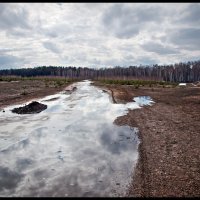 Талая вода :: **** vedin