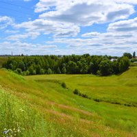 Новочебоксарск. Роща в долине реки Кукшум. :: Пётр Чернега