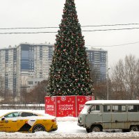 Первые "сугробы" в Москве :: Лютый Дровосек