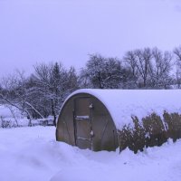 Всё больше снега в саду :: Людмила Смородинская