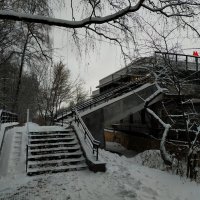 Сезон нецветной фотографии :: Андрей Лукьянов