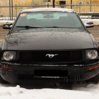 Ford Mustang :: Андрей Снегерёв