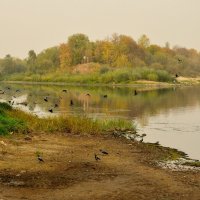 Осень в дымке :: Андрей Сосновский