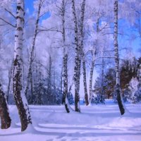 Зимние берёзки :: Людмила Смородинская