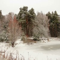 Зимний пруд :: Андрей Снегерёв