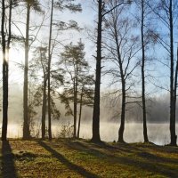 Утреннее.......... :: Юрий Цыплятников