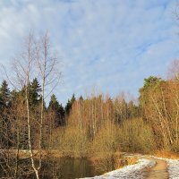 Дорожка вдоль пруда :: Андрей Снегерёв