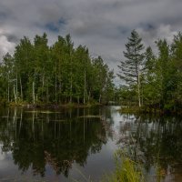 ФОТОЗАРИСОВКА ... БУДЕТ ДОЖДЬ ... :: Владимир Железнов