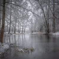 **** :: Елизавета .