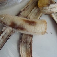Бананы :: Екатерина Богомолова