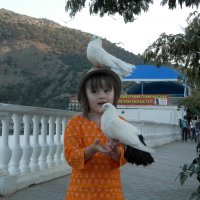 Девочка и голуби :: Александр Бычков