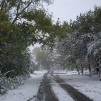 Первый снег :: Геннадий 
