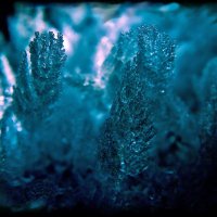 Туманный мир кристаллов :: Boris Khershberg
