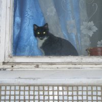 Тень нашего окна :: Владимир 