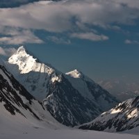 в. Белая :: Евгения Стасеня