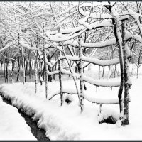 первый снег :: Владимир Ершов