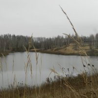 Озеро :: Ксения 