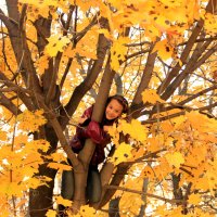 На дереве :: Алена 