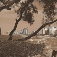 Вид на набережную Тель-Авива :: Алла Шапошникова