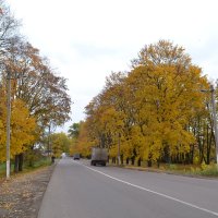 Осень в Сумах :: EvgenSEN Стебловцев