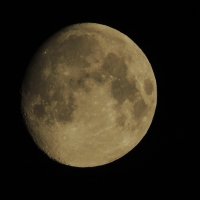 Луна :: ФотоКот  