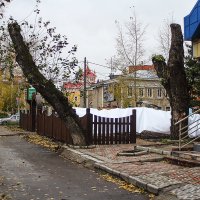 ТОМСК  ДЕРЕВЯННЫЙ :: михаил пасеков