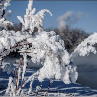 ... :: Анатолий 71 Зверев