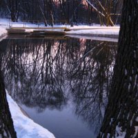 Зимнее озеро :: Алексей Гришанков (Alegri)