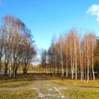 Первые зимние дни :: Владислав Писаревский