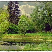 В старом парке :: Владимир ЯЩУК