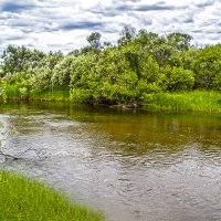 *** :: Светлана Воробьёва