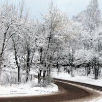 Настоящая зима!!! :: Марина Шубина