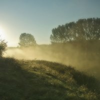 Утренний туман :: Олег Самотохин