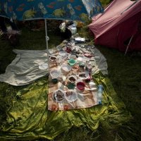 Завтрак на траве... :: Дмитрий Киселев