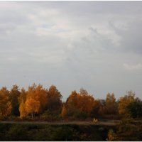 Осень. :: Василий Григорьевич 