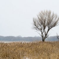 Зимний пейзаж :: Виктор Алеветдинов