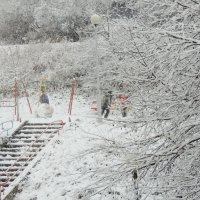 Первый снег :: Андрей Стафеев