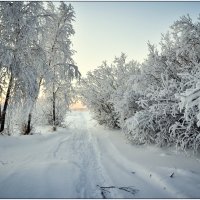 Белая зима :: Василий Хорошев